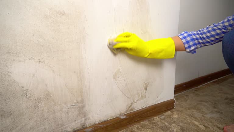 Best Mold Prevention Services  in Sisco Heights, WA