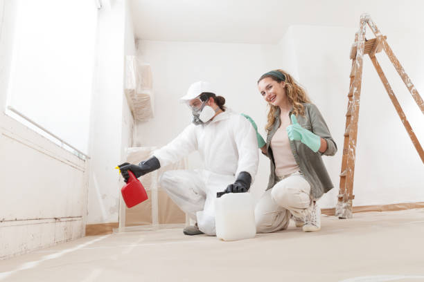 Mold Documentation for Insurance Claims in Sisco Heights, WA